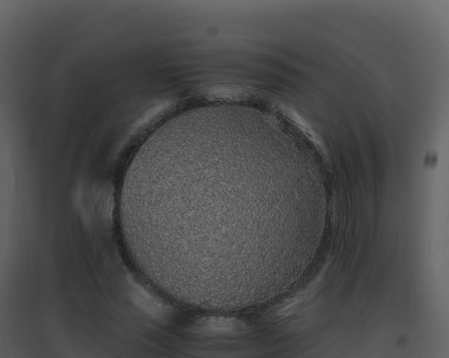 X0000096650637200802121133