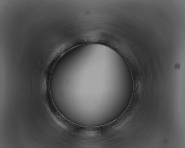 X0000096650638200802121133