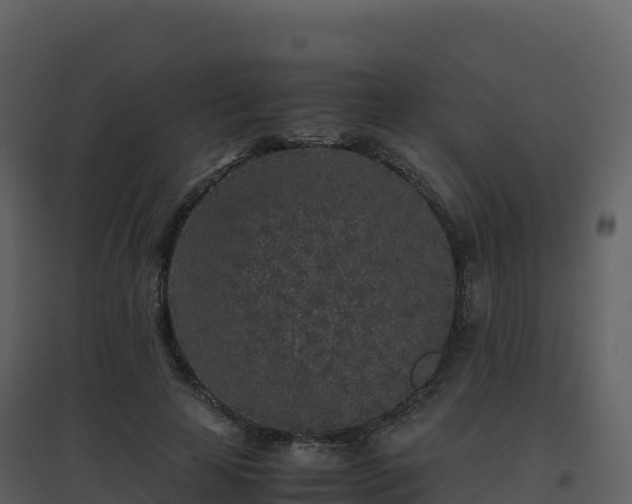 X0000096650641200802121133