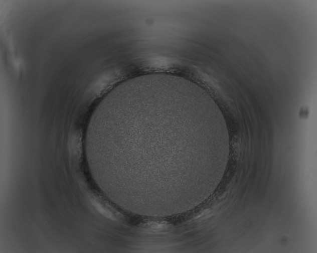 X0000096650642200802121133