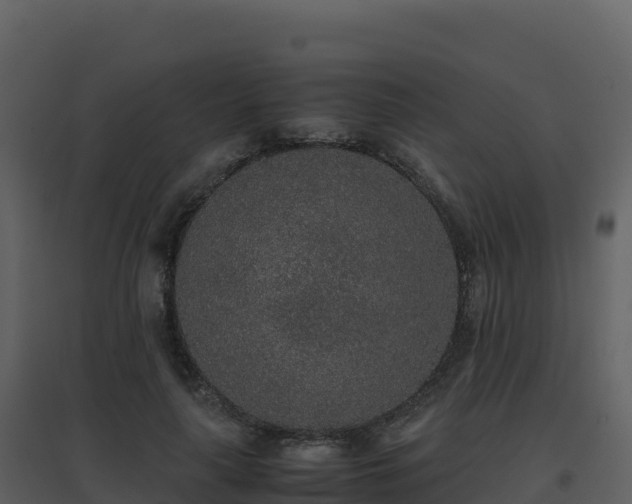 X0000096650643200802121133
