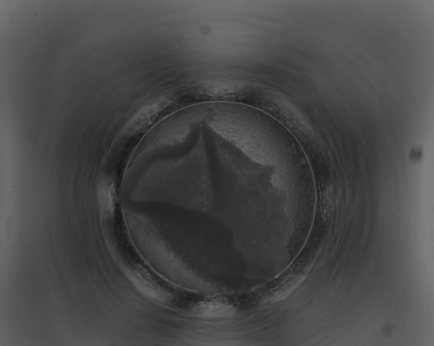 X0000096650644200802121133