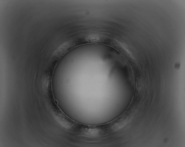 X0000096650645200802121133