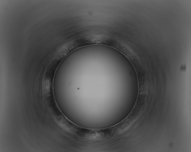 X0000096650646200802121133