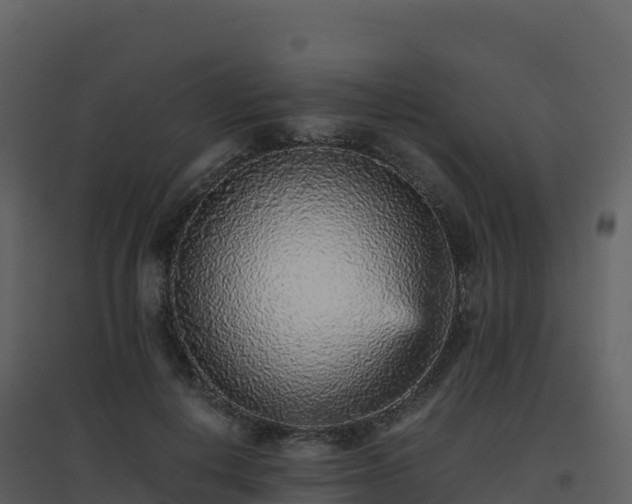 X0000096650648200802121133