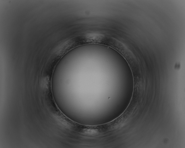 X0000096650649200802121133