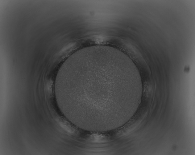 X0000096650650200802121133