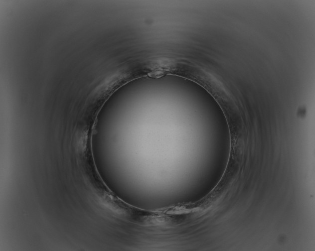 X0000096650652200802121133