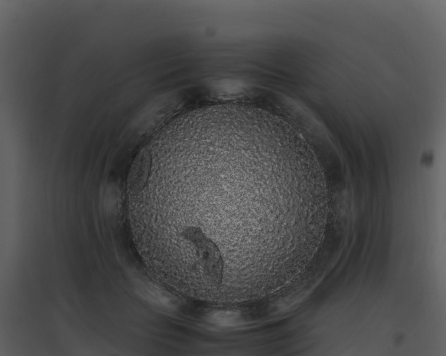 X0000096650653200802121133