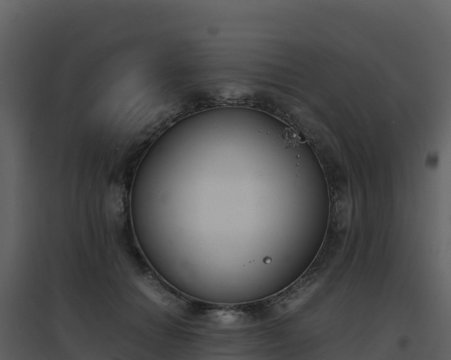 X0000096650654200802121133