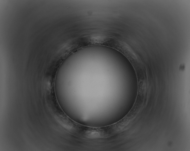 X0000096650655200802121133