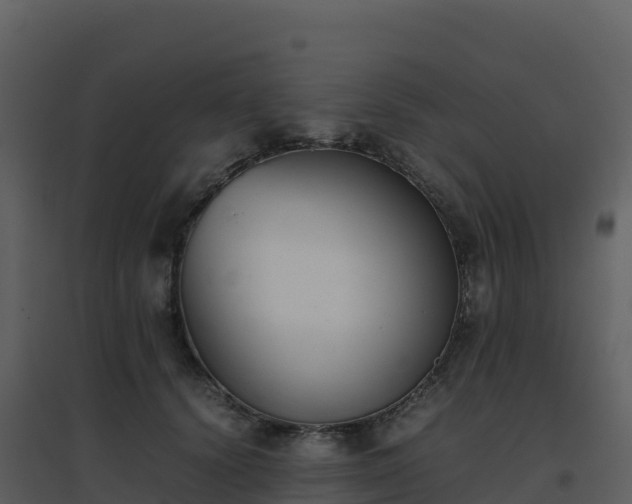 X0000096650656200802121133