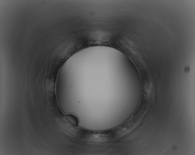 X0000096650657200802121133