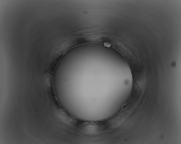 X0000096650658200802121133