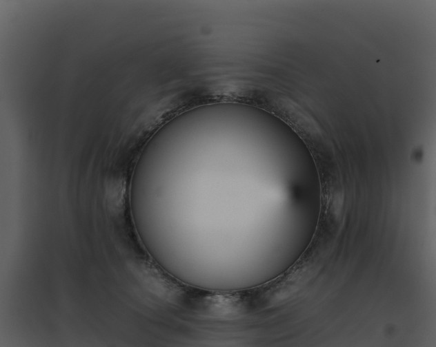 X0000096650660200802121133