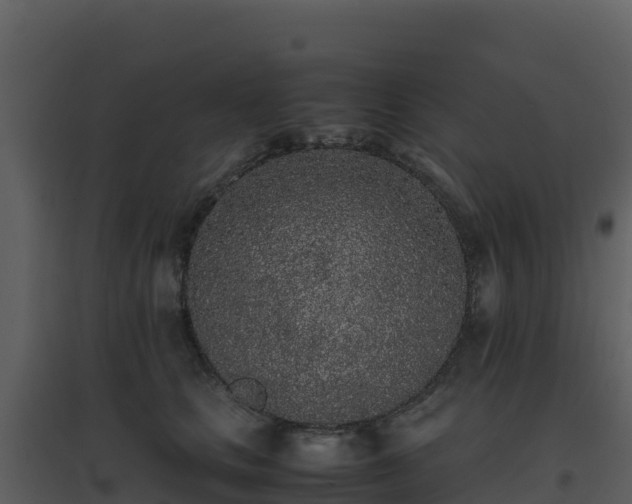 X0000096650661200802121133
