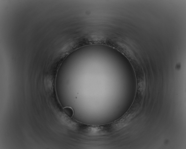 X0000096650662200802121133