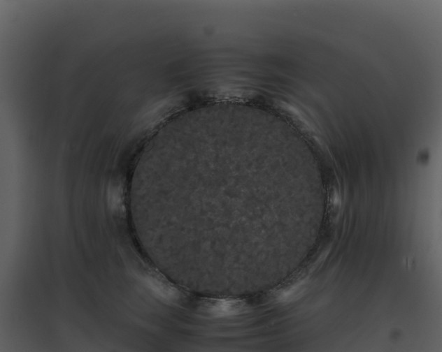 X0000096650663200802121133