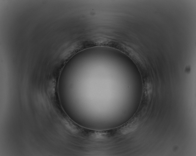 X0000096650664200802121133