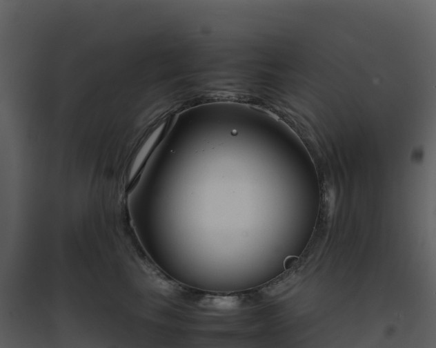 X0000096650665200802121134