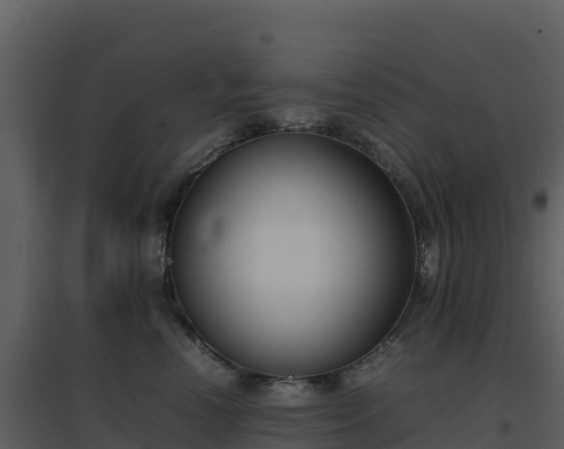 X0000096650666200802121134
