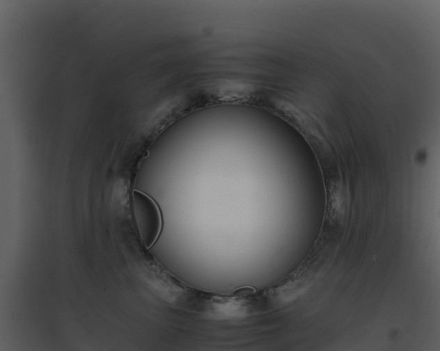 X0000096650667200802121134