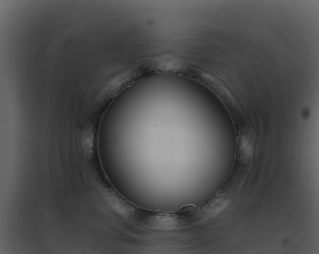 X0000096650668200802121134