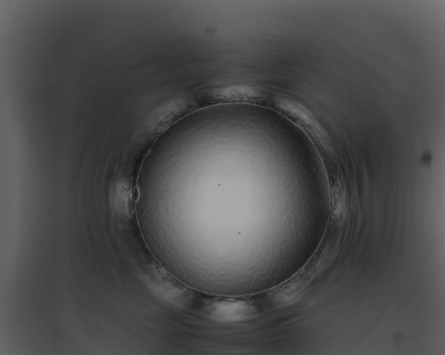 X0000096650669200802121134
