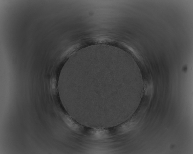 X0000096650670200802121134