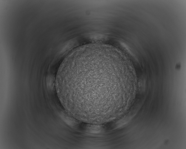 X0000096650671200802121134