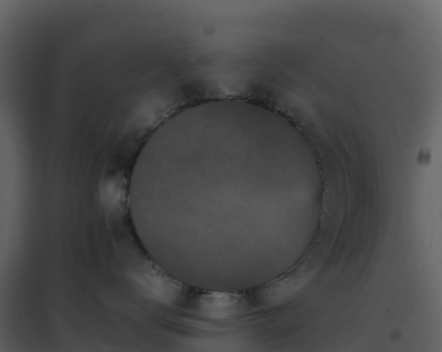 X0000096650672200802121134