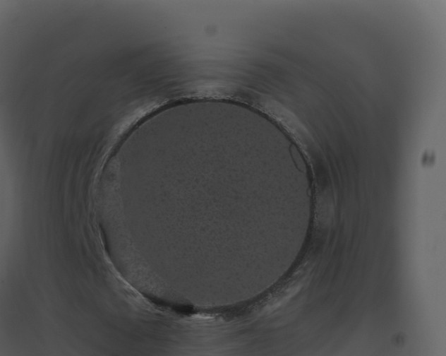 X0000096650673200802121133
