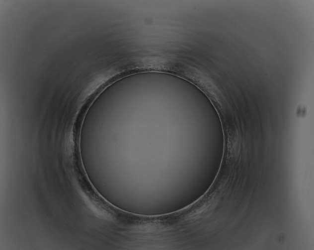 X0000096650674200802121133