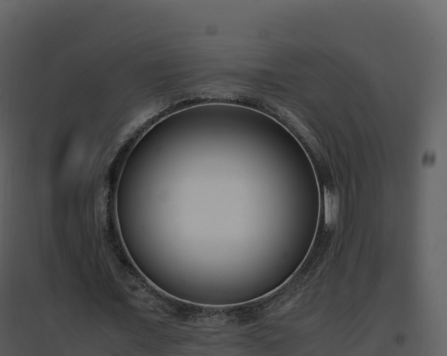X0000096650675200802121133
