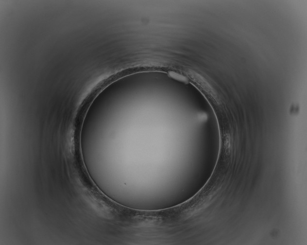 X0000096650676200802121133