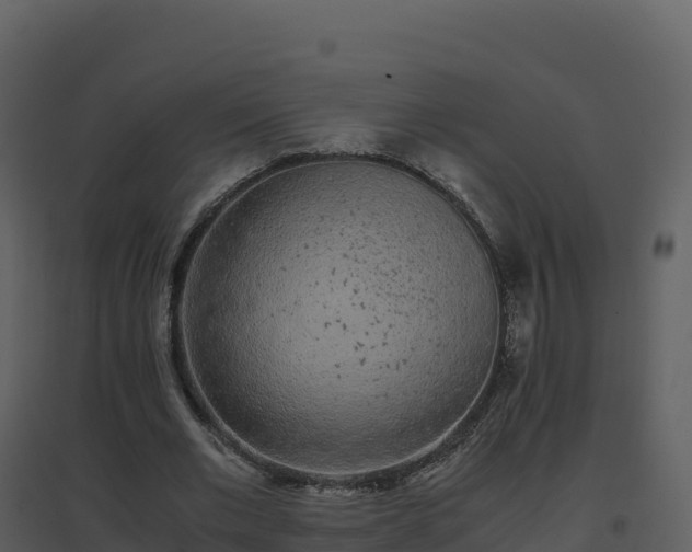 X0000096650677200802121133