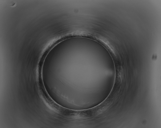 X0000096650678200802121133