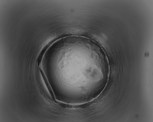 X0000096650679200802121133