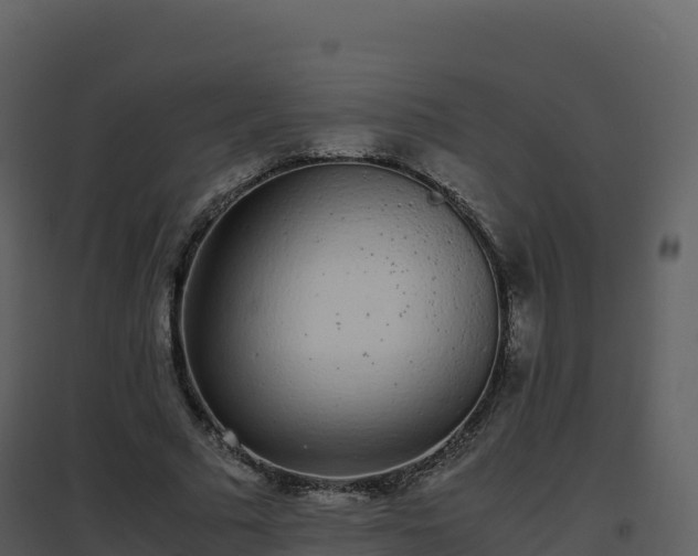 X0000096650681200802121133