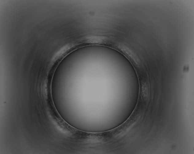 X0000096650682200802121133