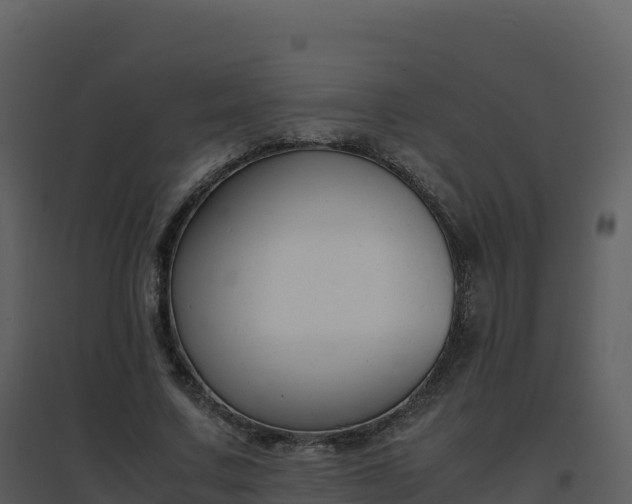 X0000096650683200802121133
