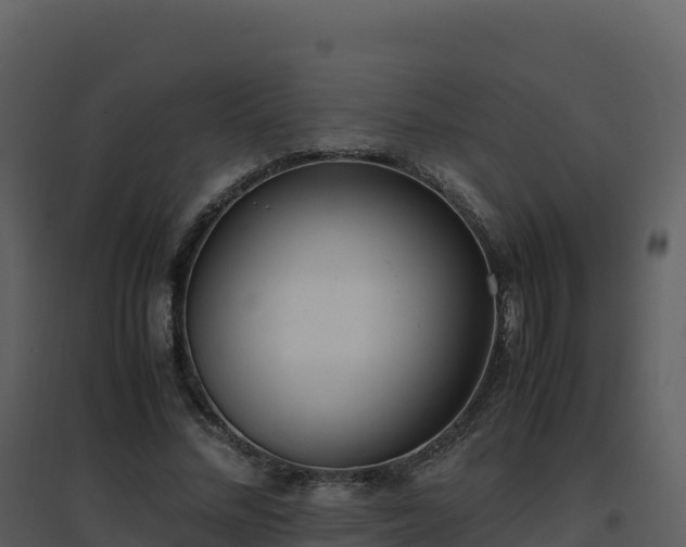 X0000096650684200802121133
