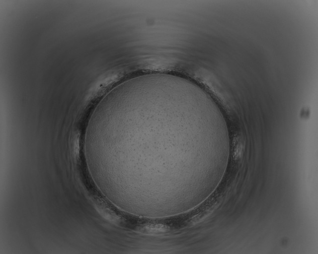 X0000096650685200802121133