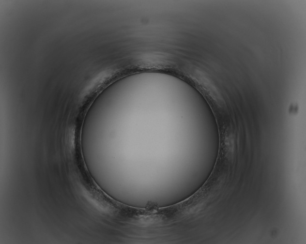 X0000096650686200802121133