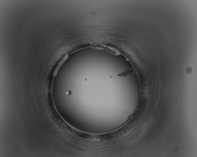 X0000096650687200802121133