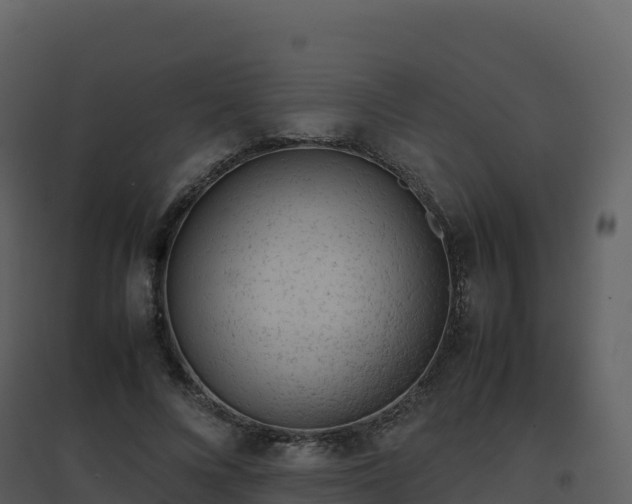 X0000096650688200802121133