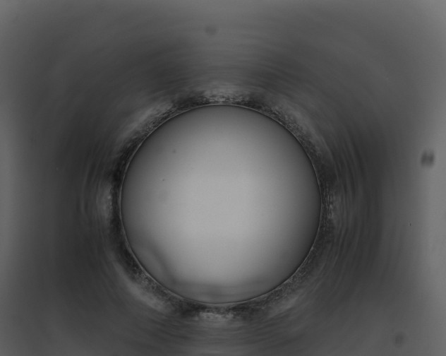 X0000096650690200802121133