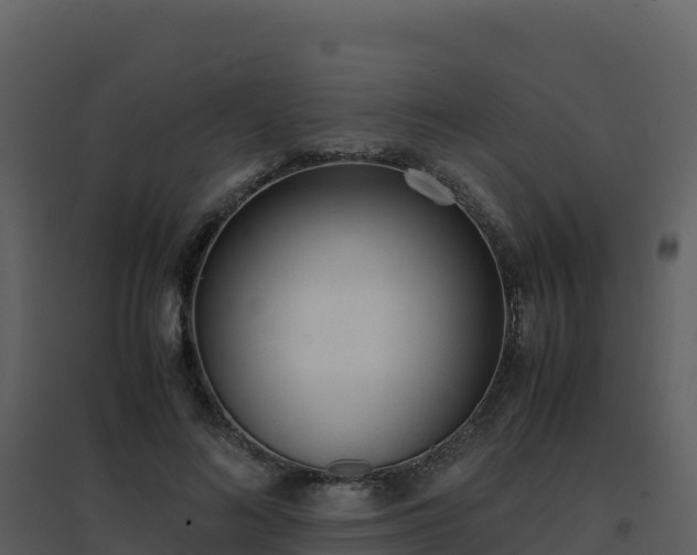 X0000096650692200802121133