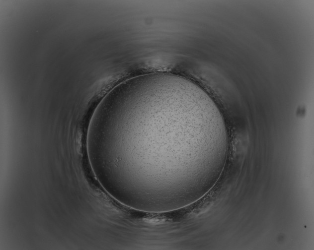 X0000096650693200802121133