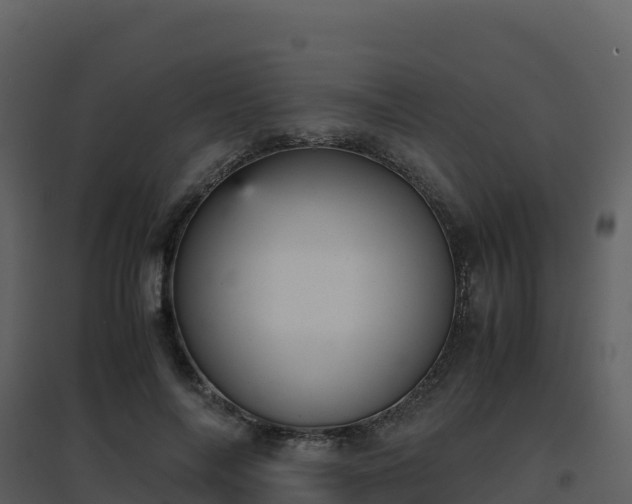 X0000096650694200802121133